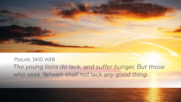 Psalms 34:10 WEB Desktop Wallpaper - The young lions do lack, and suffer hunger, But - Desktop Bible Verse Wallpaper