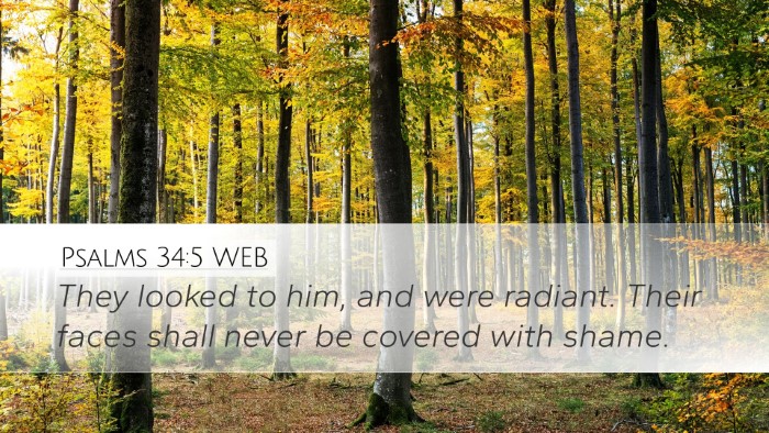 Psalms 34:5 WEB Desktop Wallpaper - They looked to him, and were radiant. Their faces - Desktop Bible Verse Wallpaper