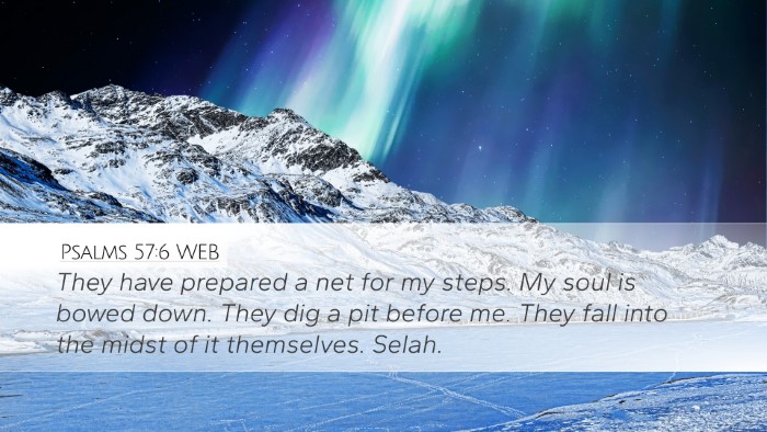 Psalms 57:6 WEB Bible Verse Image