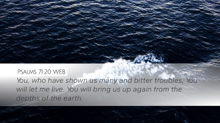 Psalms 71:20 WEB Bible Verse Image