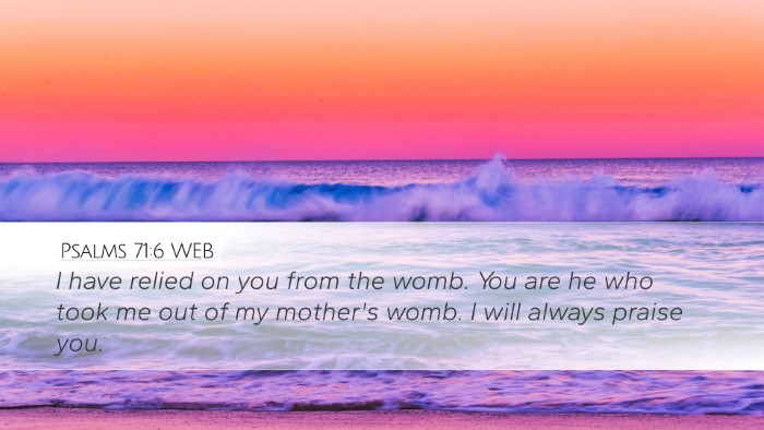 Psalms 71:6 WEB Desktop Wallpaper - I have relied on you from the womb. You are he - Desktop Bible Verse Wallpaper