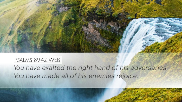 Psalms 89:42 WEB Desktop Wallpaper - You have exalted the right hand of his - Desktop Bible Verse Wallpaper