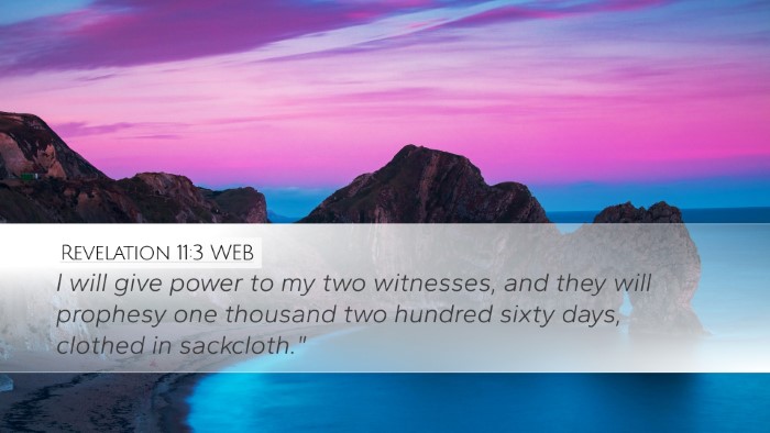 Revelation 11:3 WEB Bible Verse Image