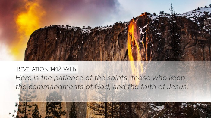 Revelation 14:12 WEB Bible Verse Image