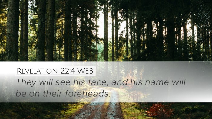 Revelation 22:4 WEB Bible Verse Image