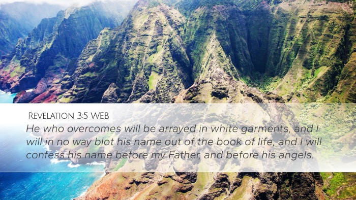 Revelation 3:5 WEB Bible Verse Image