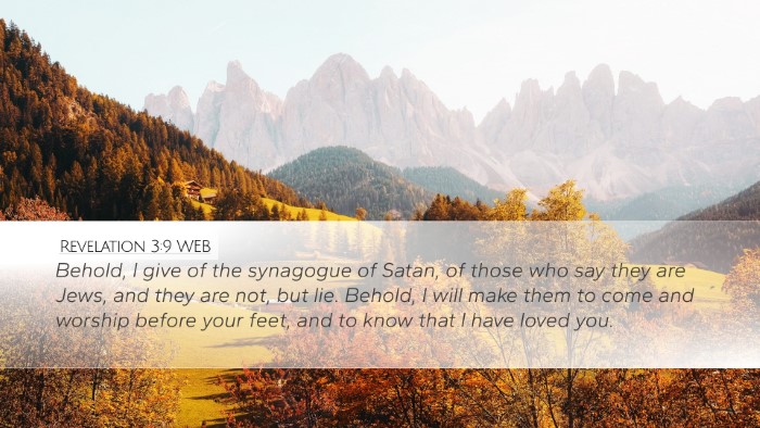 Revelation 3:9 WEB Bible Verse Image