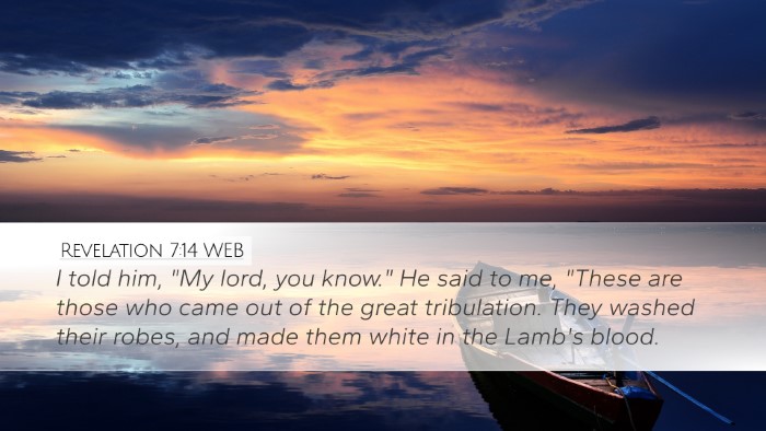 Revelation 7:14 WEB Bible Verse Image