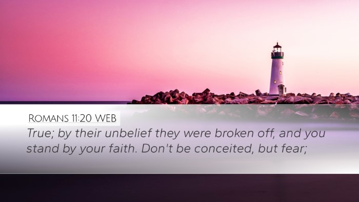 Romans 11:20 WEB Bible Verse Image