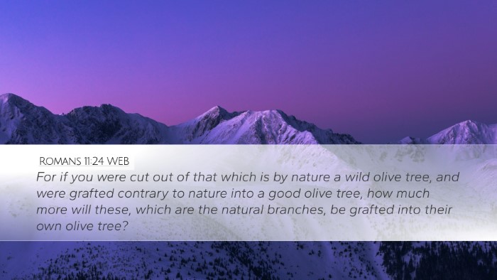 Romans 11:24 WEB Desktop Wallpaper - For if you were cut out of that which is by - Desktop Bible Verse Wallpaper