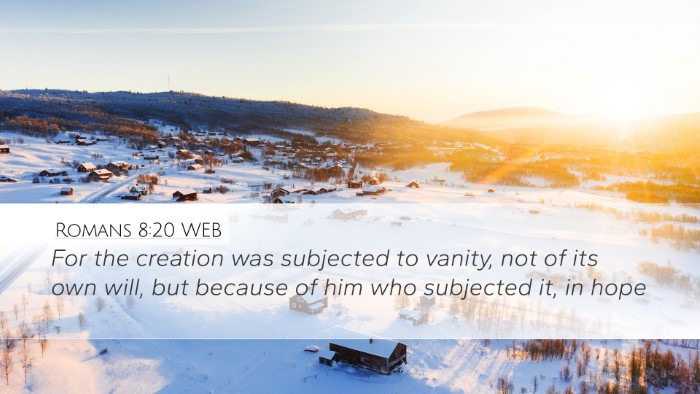 Romans 8:20 WEB Bible Verse Image