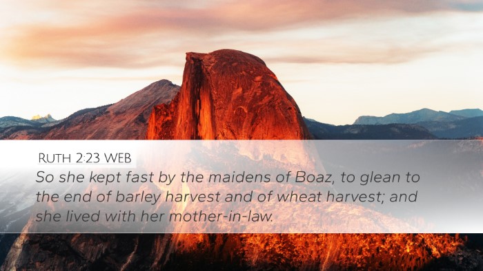 Ruth 2:23 WEB Bible Verse Image