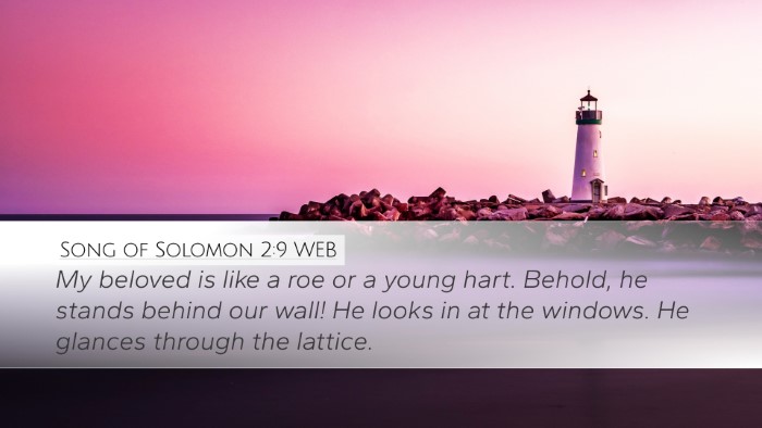 Song of Solomon 2:9 WEB Bible Verse Image