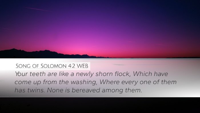 Song of Solomon 4:2 WEB Bible Verse Image