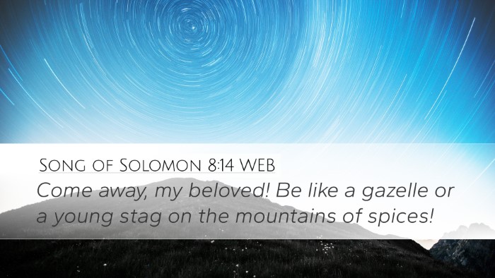 Song of Solomon 8:14 WEB Desktop Wallpaper - Come away, my beloved! Be like a gazelle or a - Desktop Bible Verse Wallpaper