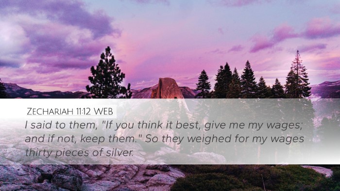Zechariah 11:12 WEB Bible Verse Image