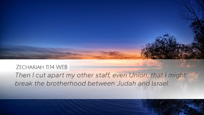 Zechariah 11:14 WEB Bible Verse Image