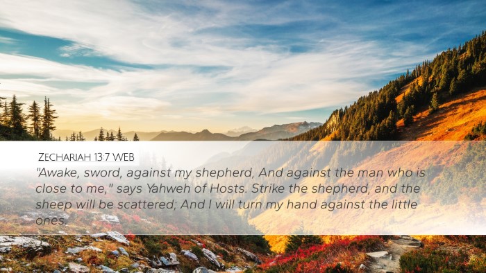 Zechariah 13:7 WEB Bible Verse Image