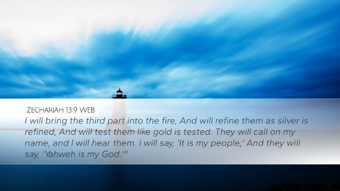 Zechariah 13:9 WEB Bible Verse Image