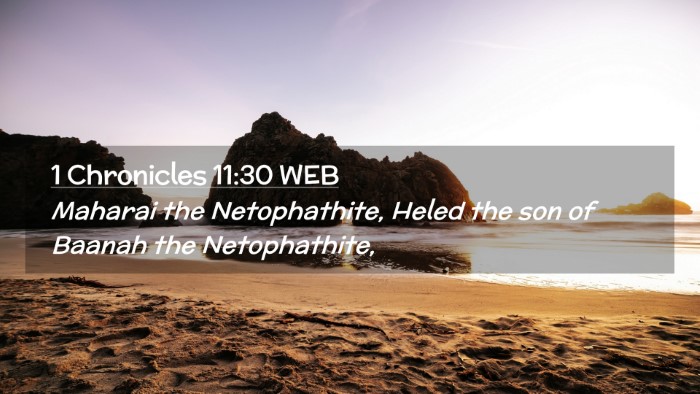 Picture 02 - 1 Chronicles 11:30 WEB Desktop Wallpaper - Maharai the Netophathite, Heled the son of Baanah - Desktop Bible Verse Wallpaper