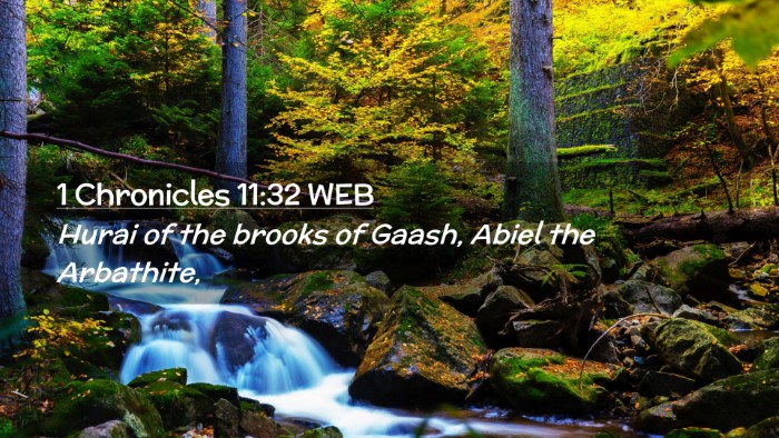 Picture 02 - 1 Chronicles 11:32 WEB Desktop Wallpaper - Hurai of the brooks of Gaash, Abiel the - Desktop Bible Verse Wallpaper