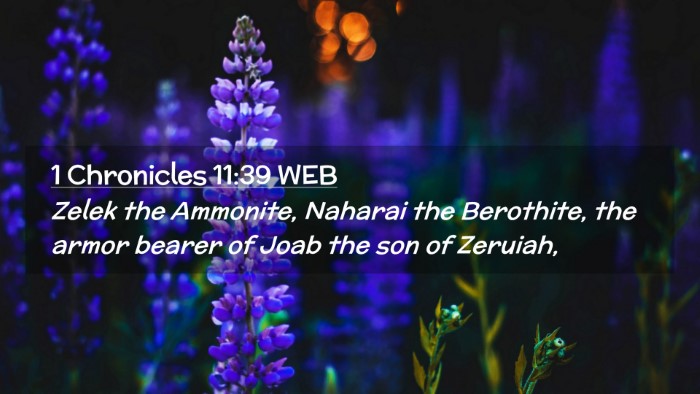 Picture 02 - 1 Chronicles 11:39 WEB Desktop Wallpaper - Zelek the Ammonite, Naharai the Berothite, the - Desktop Bible Verse Wallpaper