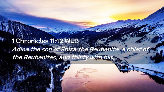 Picture 02 - 1 Chronicles 11:42 WEB Desktop Wallpaper - Adina the son of Shiza the Reubenite, a chief of - Desktop Bible Verse Wallpaper