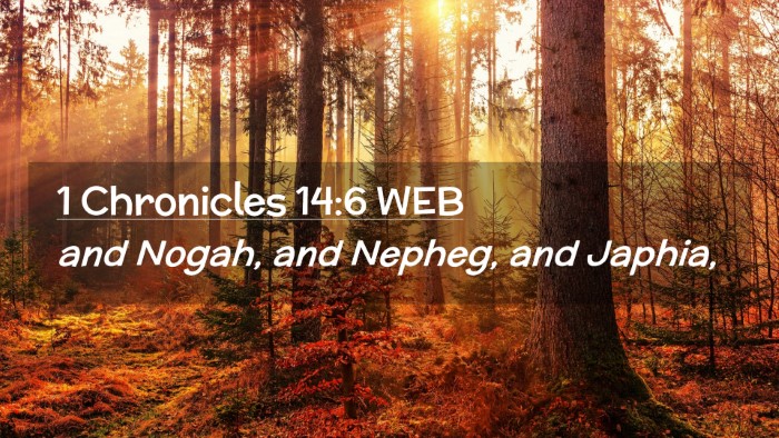 Picture 02 - 1 Chronicles 14:6 WEB Desktop Wallpaper - and Nogah, and Nepheg, and - Desktop Bible Verse Wallpaper