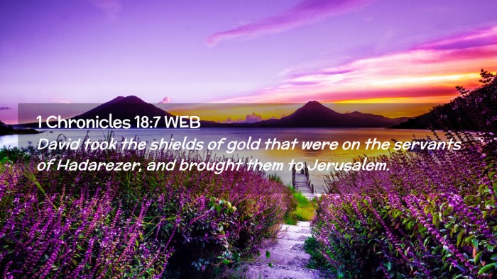 Picture 02 - 1 Chronicles 18:7 WEB Desktop Wallpaper - David took the shields of gold that were on the - Desktop Bible Verse Wallpaper