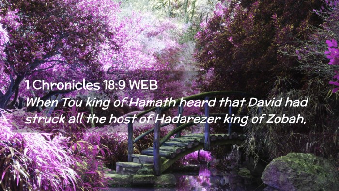 Picture 02 - 1 Chronicles 18:9 WEB Desktop Wallpaper - When Tou king of Hamath heard that David had - Desktop Bible Verse Wallpaper
