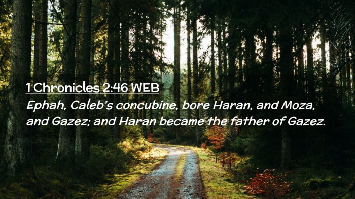 Picture 02 - 1 Chronicles 2:46 WEB Desktop Wallpaper - Ephah, Caleb's concubine, bore Haran, and Moza, - Desktop Bible Verse Wallpaper