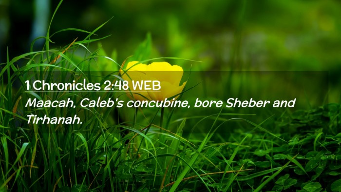 Picture 02 - 1 Chronicles 2:48 WEB Desktop Wallpaper - Maacah, Caleb's concubine, bore Sheber and - Desktop Bible Verse Wallpaper