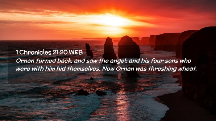 Picture 02 - 1 Chronicles 21:20 WEB Desktop Wallpaper - Ornan turned back, and saw the angel; and his - Desktop Bible Verse Wallpaper