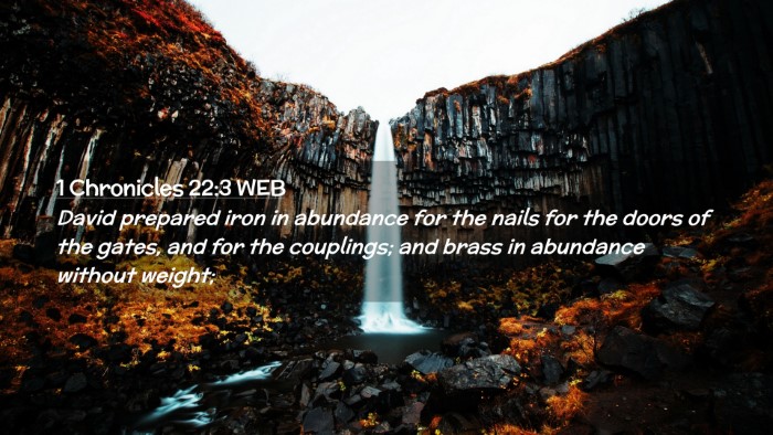 Picture 02 - 1 Chronicles 22:3 WEB Desktop Wallpaper - David prepared iron in abundance for the nails - Desktop Bible Verse Wallpaper