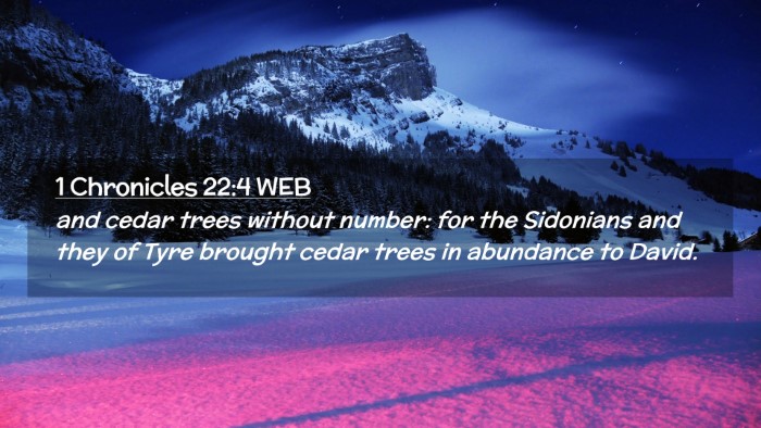 Picture 02 - 1 Chronicles 22:4 WEB Desktop Wallpaper - and cedar trees without number: for the Sidonians - Desktop Bible Verse Wallpaper