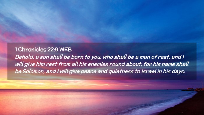 Picture 02 - 1 Chronicles 22:9 WEB Desktop Wallpaper - Behold, a son shall be born to you, who shall be - Desktop Bible Verse Wallpaper