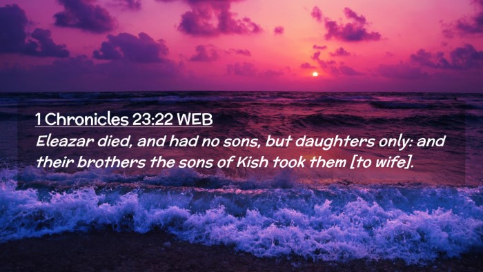 Picture 02 - 1 Chronicles 23:22 WEB Desktop Wallpaper - Eleazar died, and had no sons, but daughters - Desktop Bible Verse Wallpaper