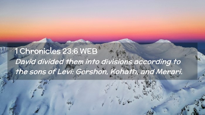Picture 02 - 1 Chronicles 23:6 WEB Desktop Wallpaper - David divided them into divisions according to - Desktop Bible Verse Wallpaper