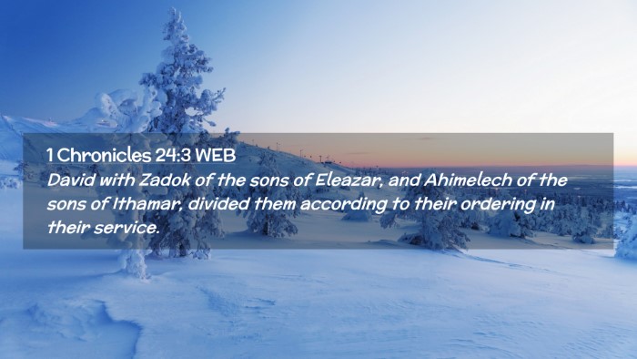 Picture 02 - 1 Chronicles 24:3 WEB Desktop Wallpaper - David with Zadok of the sons of Eleazar, and - Desktop Bible Verse Wallpaper