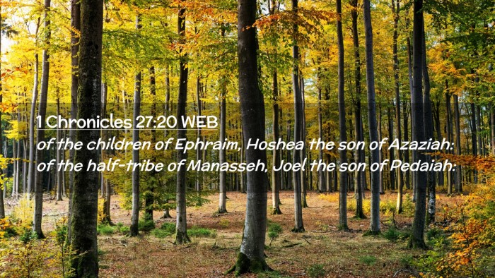 Picture 02 - 1 Chronicles 27:20 WEB Desktop Wallpaper - of the children of Ephraim, Hoshea the son of - Desktop Bible Verse Wallpaper