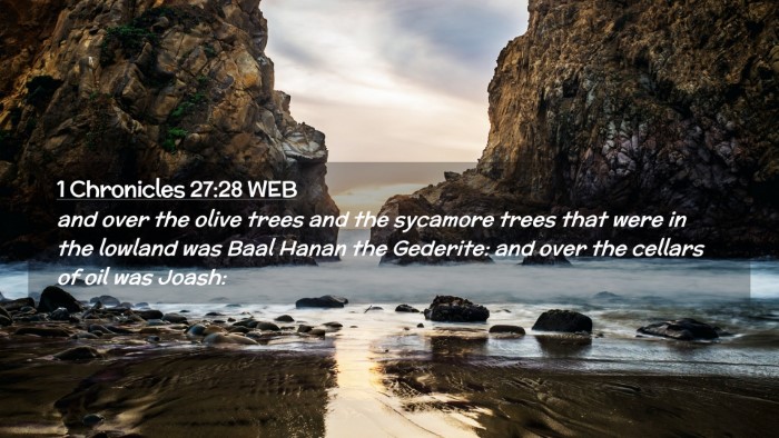 Picture 02 - 1 Chronicles 27:28 WEB Desktop Wallpaper - and over the olive trees and the sycamore trees - Desktop Bible Verse Wallpaper