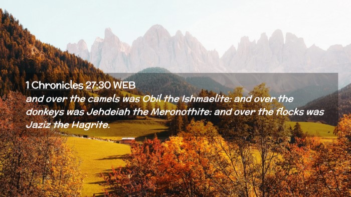Picture 02 - 1 Chronicles 27:30 WEB Desktop Wallpaper - and over the camels was Obil the Ishmaelite: and - Desktop Bible Verse Wallpaper