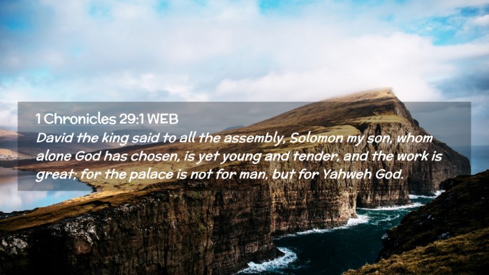 Picture 02 - 1 Chronicles 29:1 WEB Desktop Wallpaper - David the king said to all the assembly, Solomon - Desktop Bible Verse Wallpaper