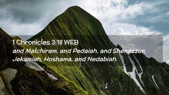Picture 02 - 1 Chronicles 3:18 WEB Desktop Wallpaper - and Malchiram, and Pedaiah, and Shenazzar, - Desktop Bible Verse Wallpaper