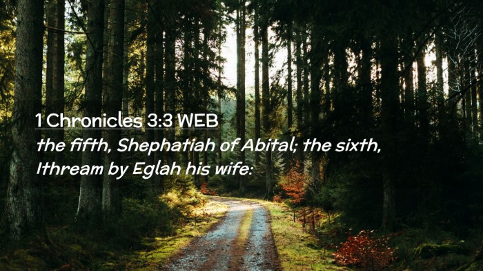 Picture 02 - 1 Chronicles 3:3 WEB Desktop Wallpaper - the fifth, Shephatiah of Abital; the sixth, - Desktop Bible Verse Wallpaper