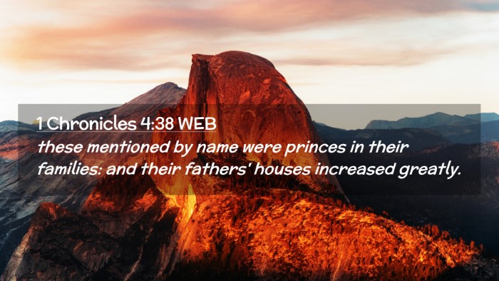 Picture 02 - 1 Chronicles 4:38 WEB Desktop Wallpaper - these mentioned by name were princes in their - Desktop Bible Verse Wallpaper