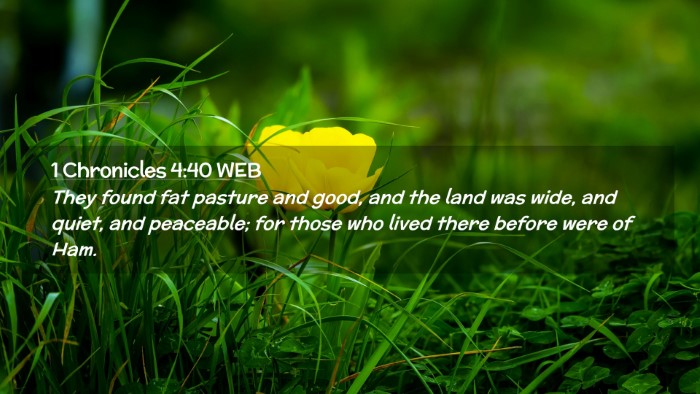 Picture 02 - 1 Chronicles 4:40 WEB Desktop Wallpaper - They found fat pasture and good, and the land was - Desktop Bible Verse Wallpaper