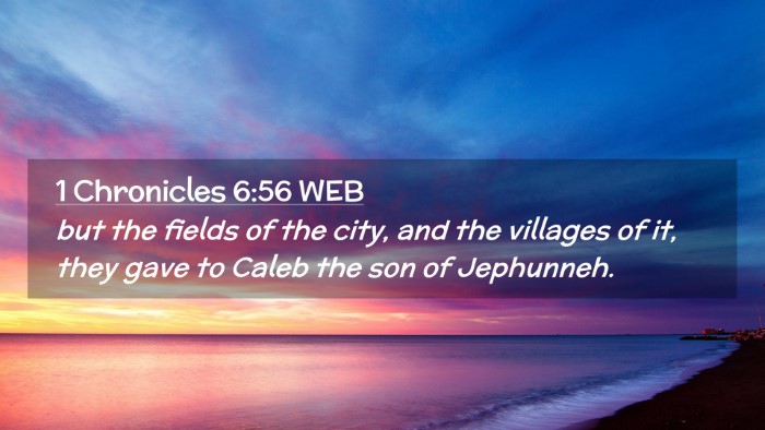 Picture 02 - 1 Chronicles 6:56 WEB Desktop Wallpaper - but the fields of the city, and the villages of - Desktop Bible Verse Wallpaper