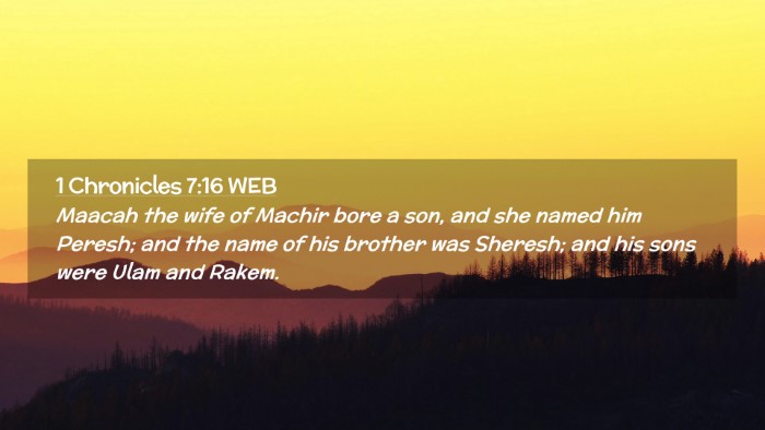 Picture 02 - 1 Chronicles 7:16 WEB Desktop Wallpaper - Maacah the wife of Machir bore a son, and she - Desktop Bible Verse Wallpaper