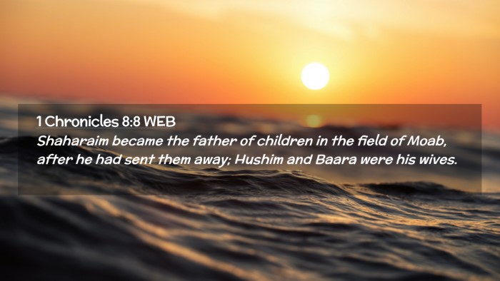 Picture 02 - 1 Chronicles 8:8 WEB Desktop Wallpaper - Shaharaim became the father of children in the - Desktop Bible Verse Wallpaper